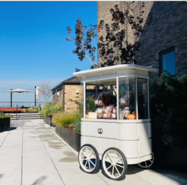 Cart Catering Package Fall - Winter 2024 : 1 cart, 1 server, 2-4 hours of service, 300 individually wrapped assorted bite size pretzels, served room temperature  Flavor options: original (100), truffle cheddar (100), everything (100), churro (100)